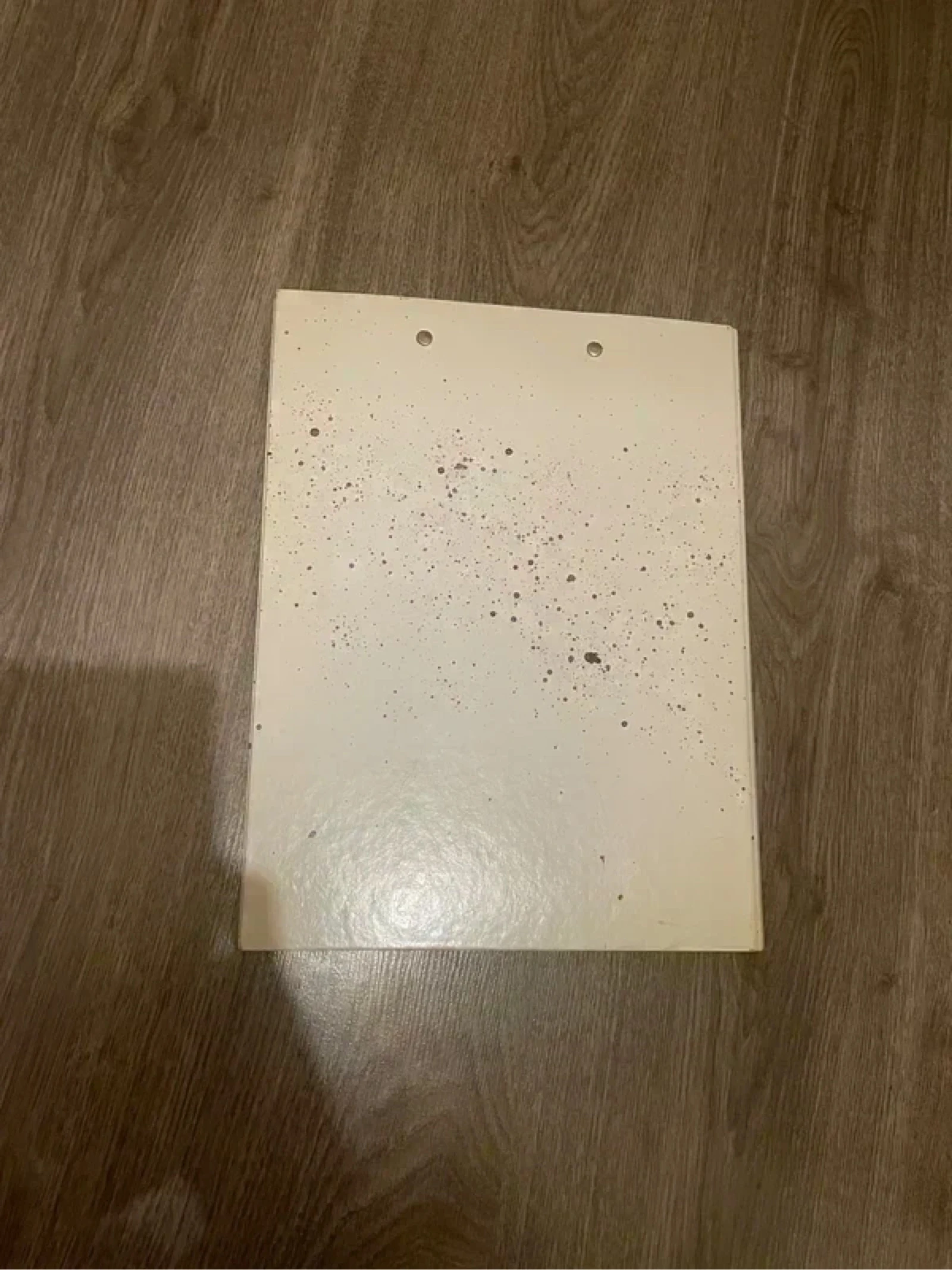 Rare diddl folder – photo 6
